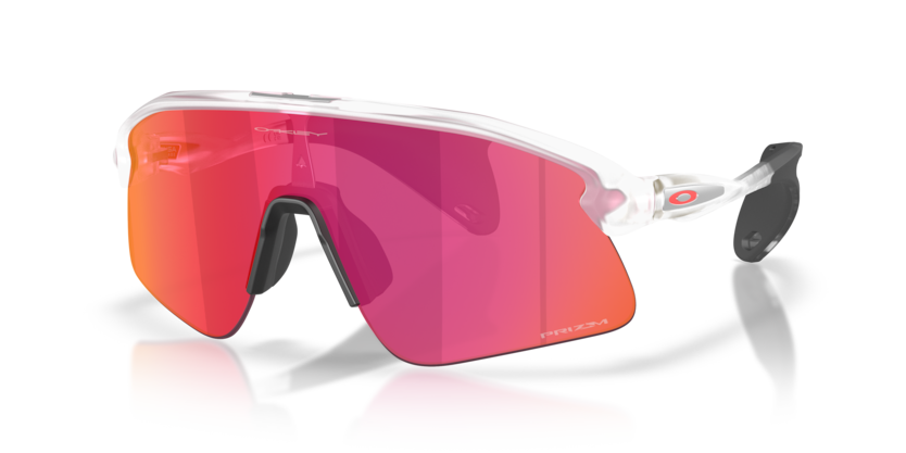 Oakley Stunt Devil