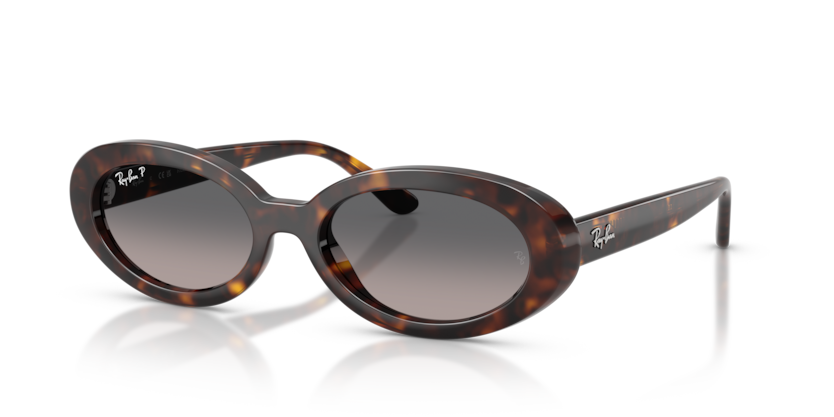 Ray Ban 2223F