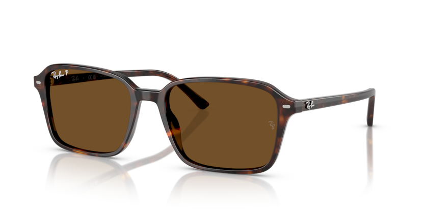 Ray Ban 2231 Raimond