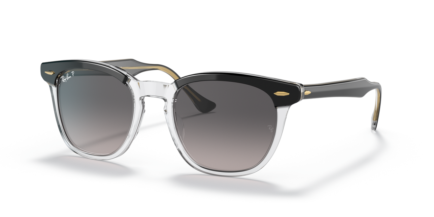 Ray Ban 2298 Hawkeye