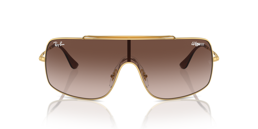 Ray Ban Wings III 3987