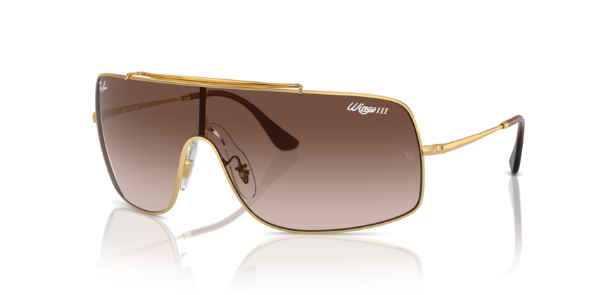 Ray Ban Wings III 3987