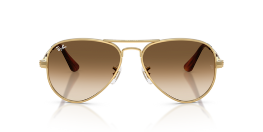 Ray-Ban 3925 Aviator Max
