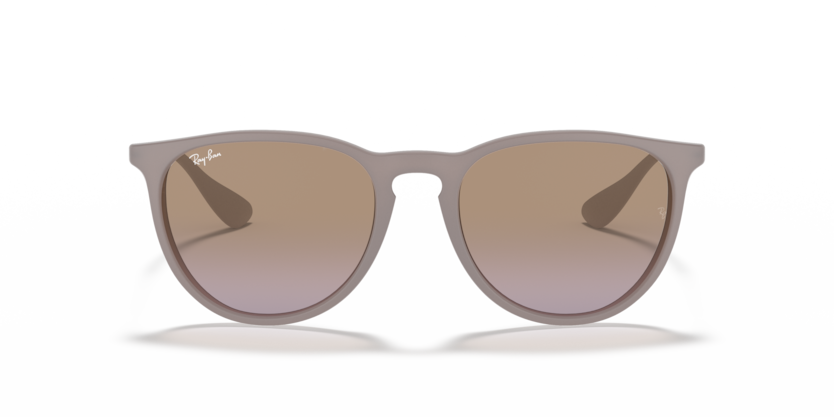 Ray Ban 4171 Erika
