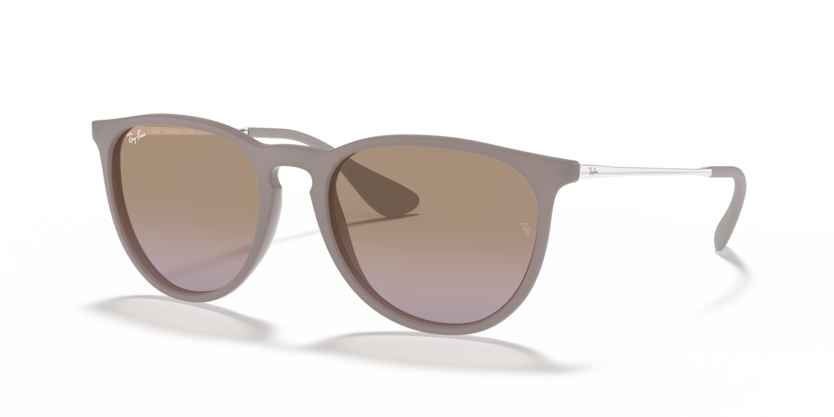 Ray Ban 4171 Erika