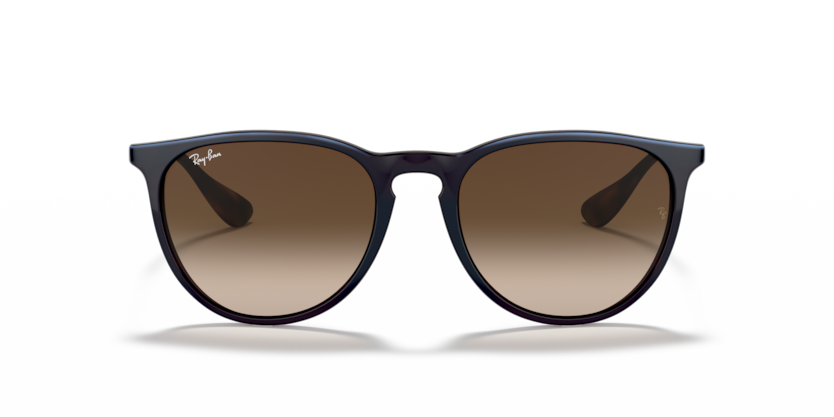 Ray Ban 4171 Erika