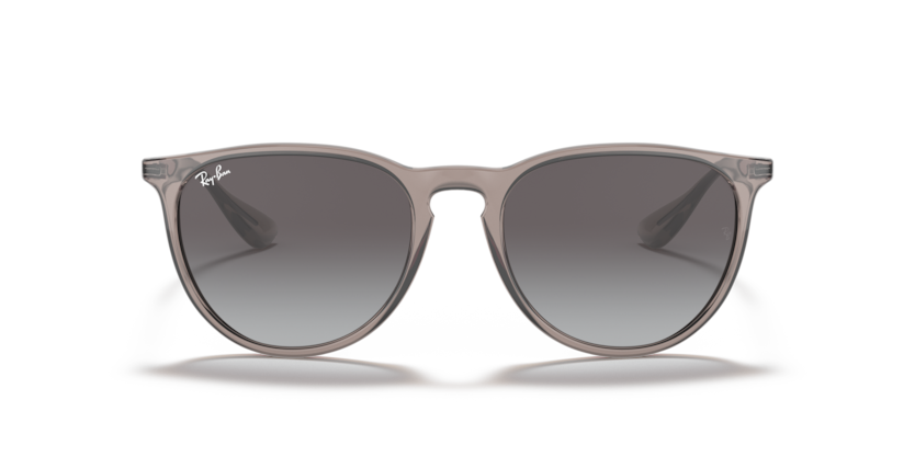 Ray Ban 4171 Erika