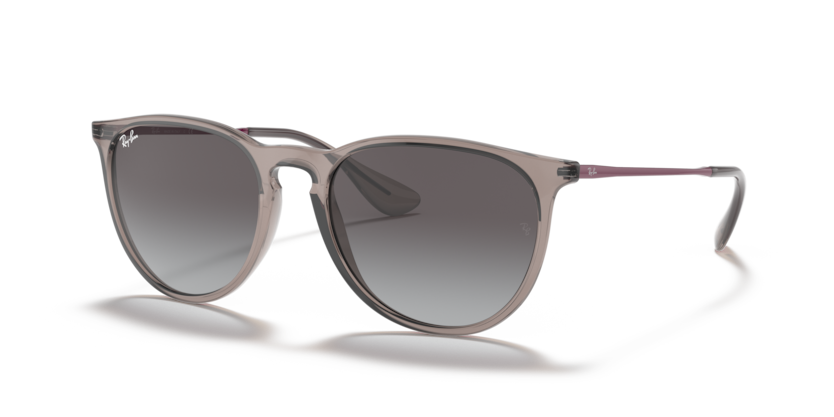 Ray Ban 4171 Erika