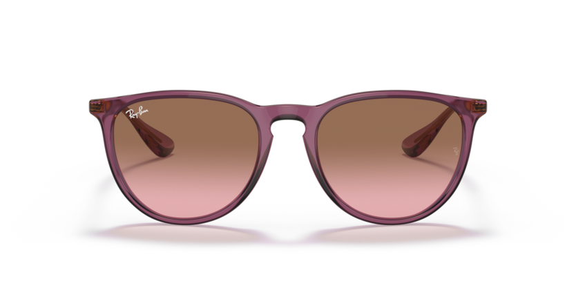 Ray Ban 4171 Erika