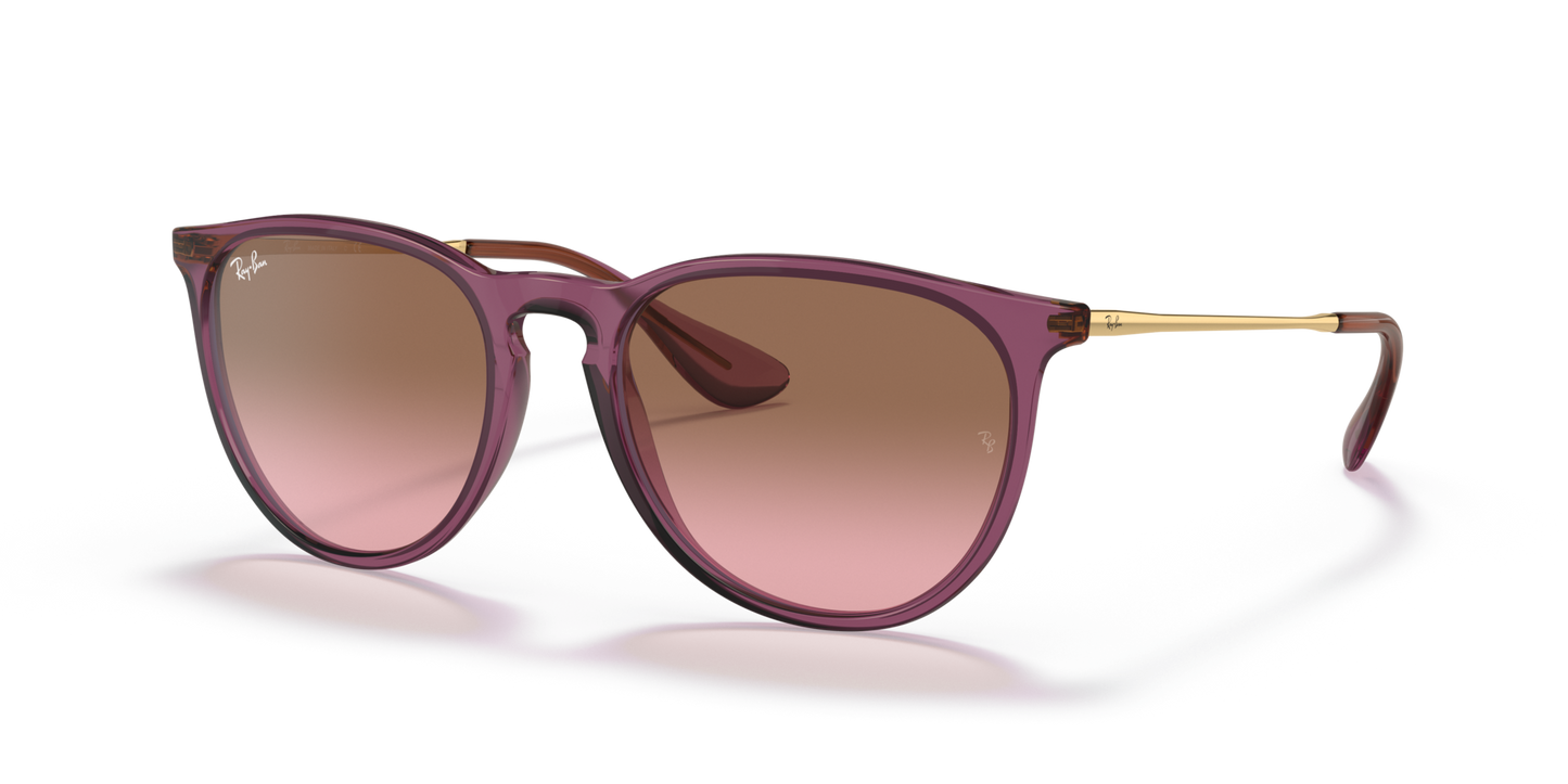 Ray Ban 4171 Erika
