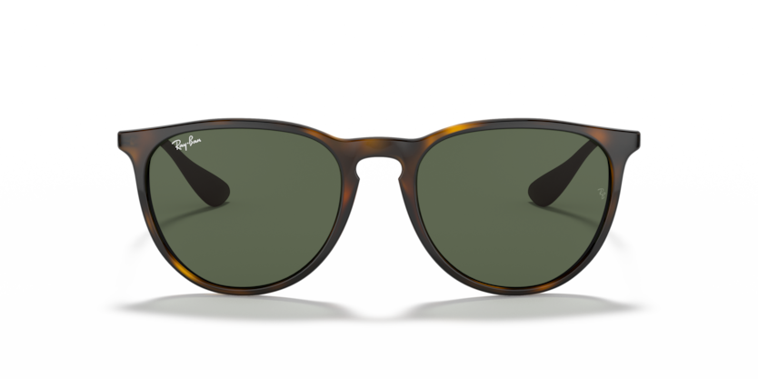 Ray Ban 4171 Erika