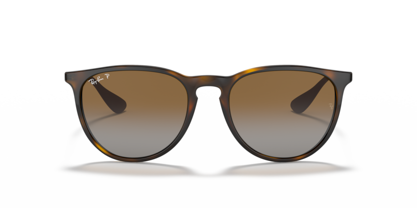 Ray Ban 4171 Erika