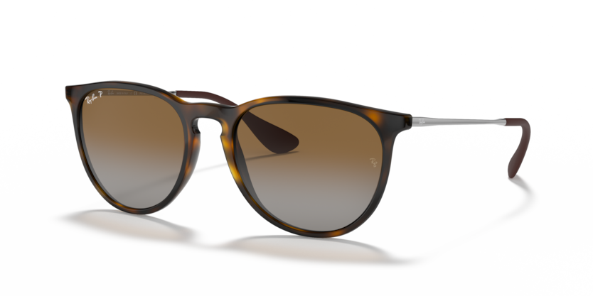 Ray Ban 4171 Erika