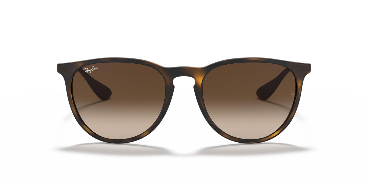 Ray Ban 4171 Erika
