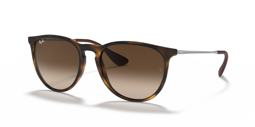Ray Ban 4171 Erika