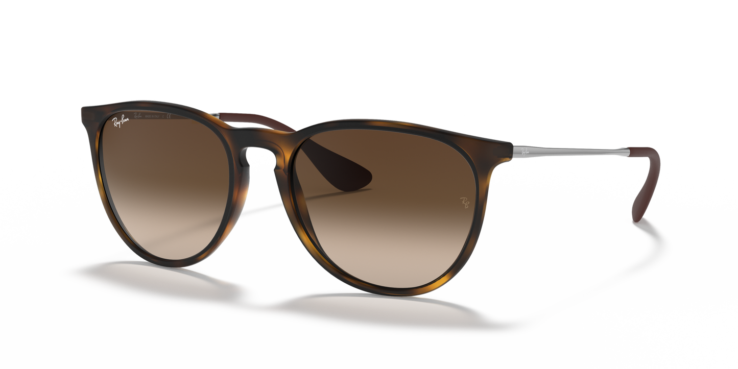 Ray Ban 4171 Erika