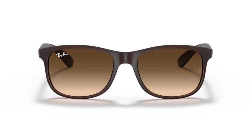 Ray Ban 4202 Andy