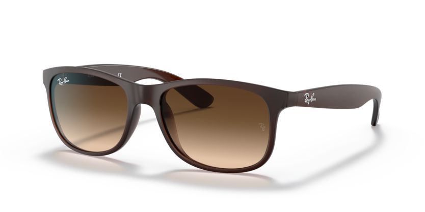 Ray Ban 4202 Andy