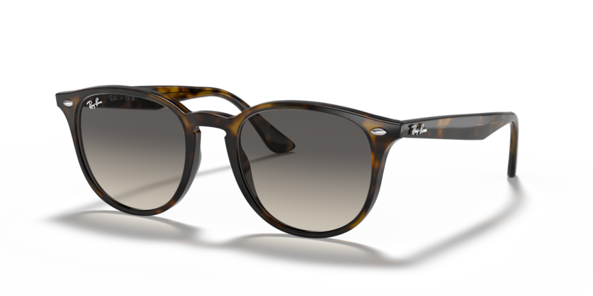 Ray Ban 4259