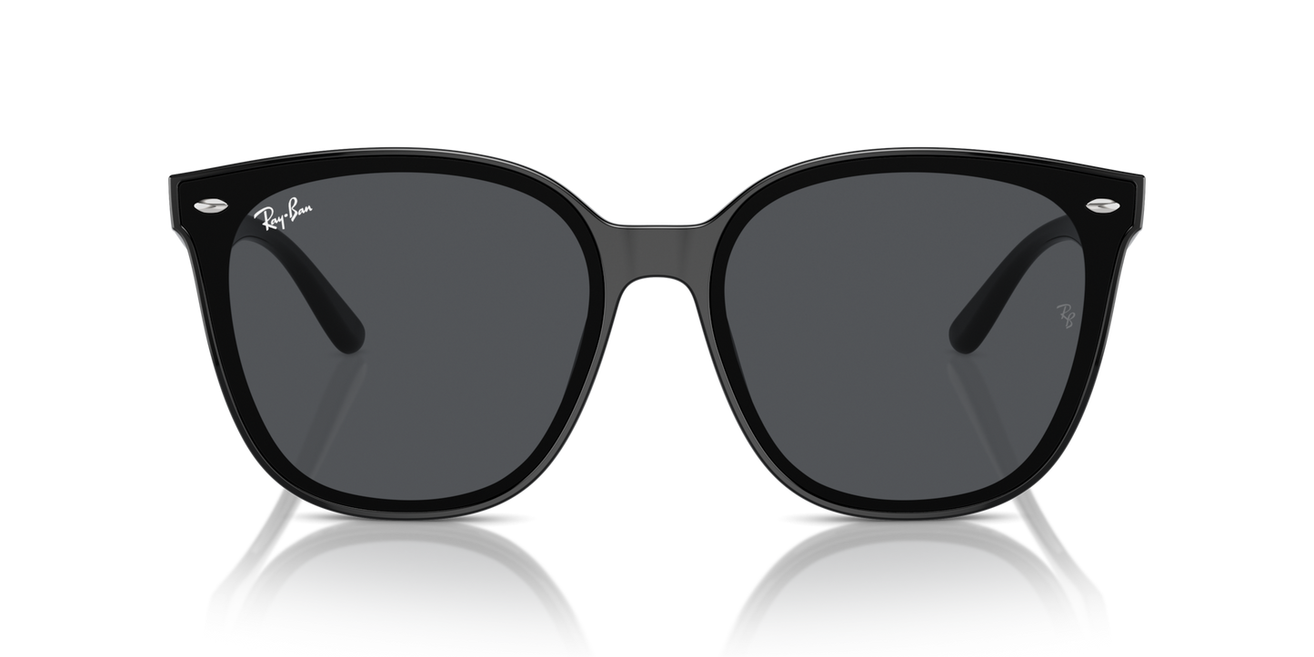 Ray-Ban 4423D