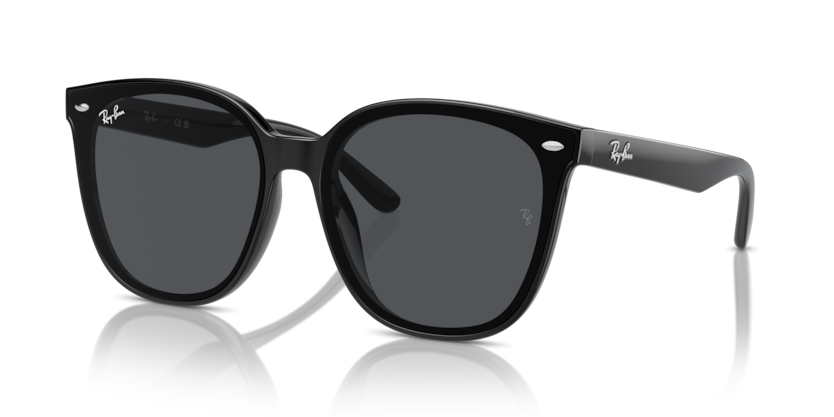 Ray-Ban 4423D