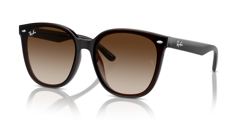 Ray Ban 4423D
