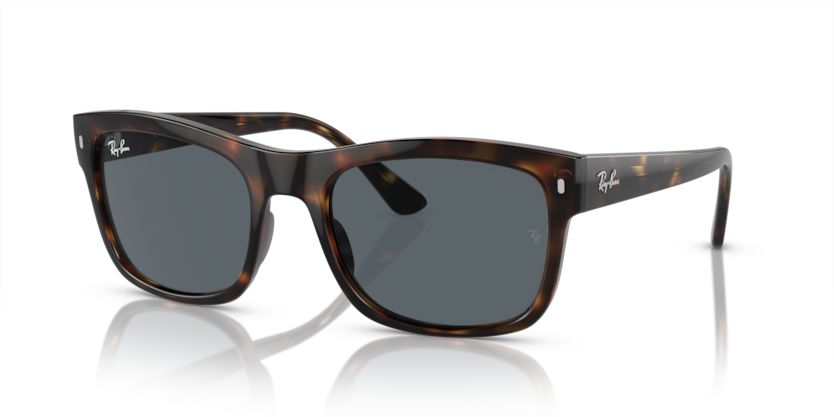 Ray Ban 4428