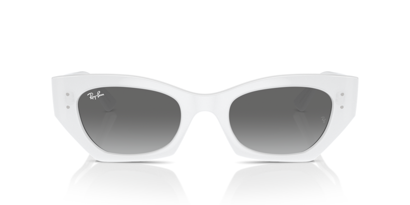 Ray Ban Zena 4430
