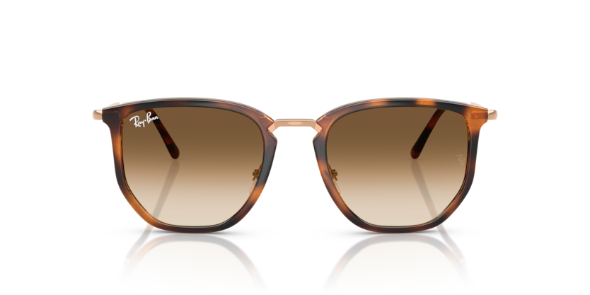 Ray Ban 4451