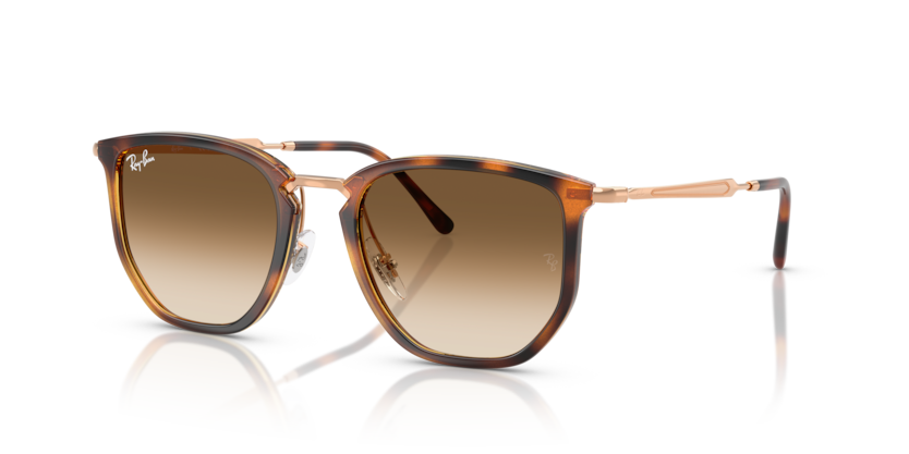 Ray Ban 4451