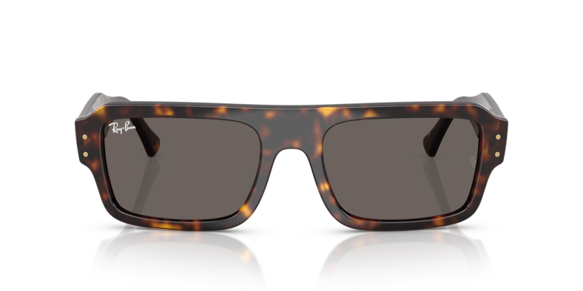 Ray Ban Lukas 4454