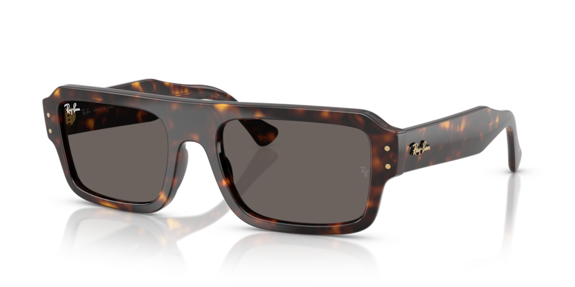 Ray Ban Lukas 4454