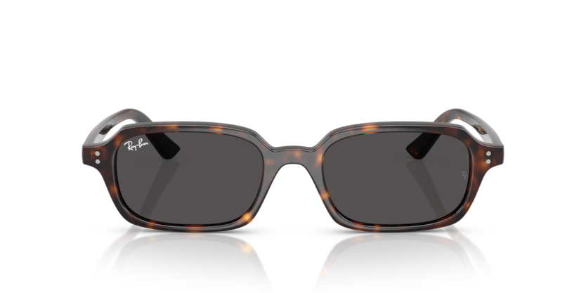 Ray Ban 4455 Zuri