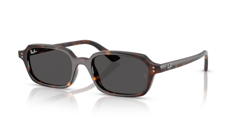 Ray Ban 4455 Zuri