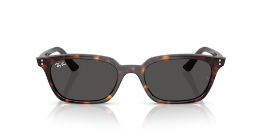 Ray Ban 4456F Zaya