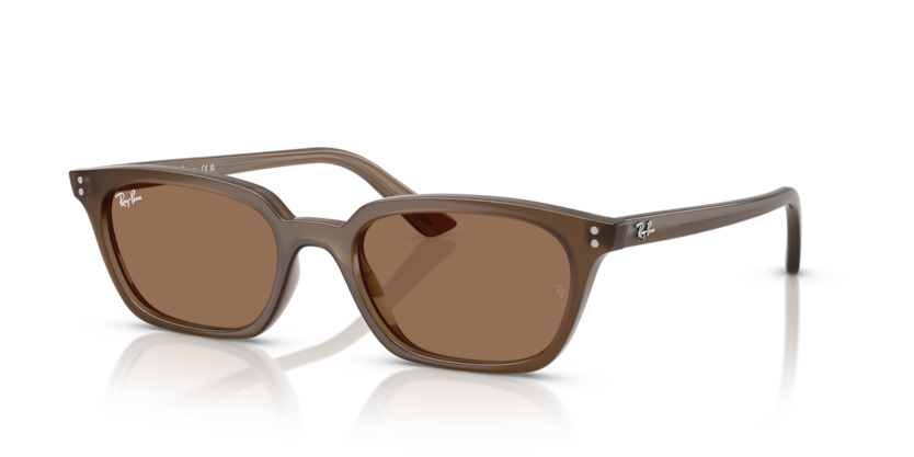 Ray Ban 4456 Zaya