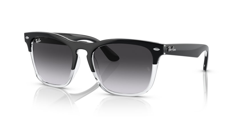 Ray Ban 4487 Steve