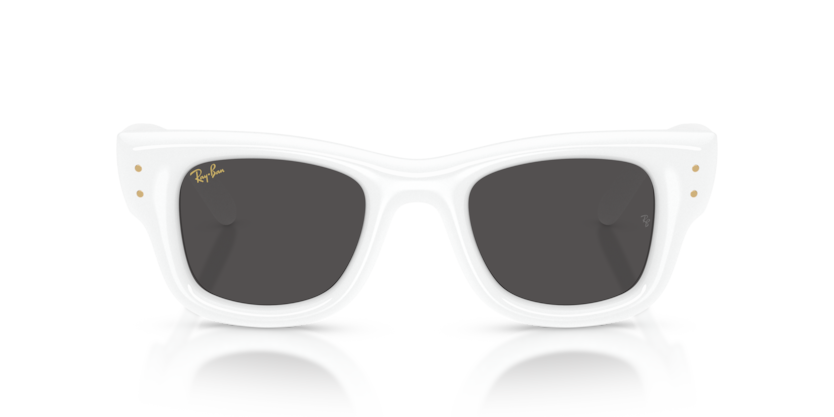 Ray-Ban 4940 Wayfarer Puffer