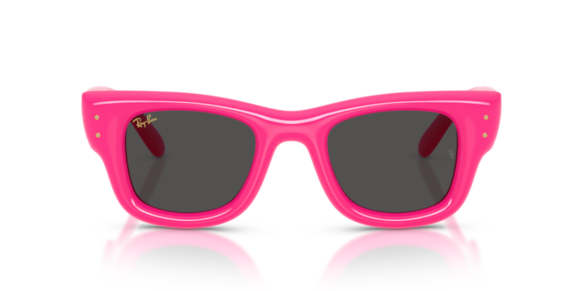 Ray-Ban 4940 Wayfarer Puffer