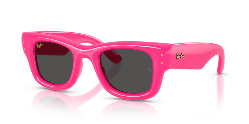 Ray-Ban 4940 Wayfarer Puffer