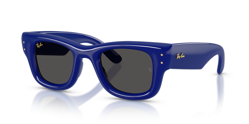 Ray-Ban 4940 Wayfarer Puffer