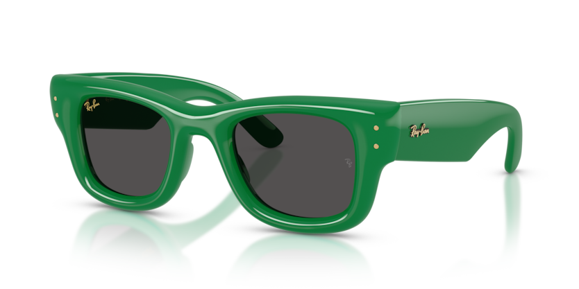 Ray-Ban 4940 Wayfarer Puffer