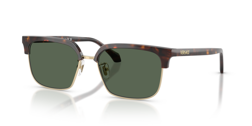 Versace 4494D