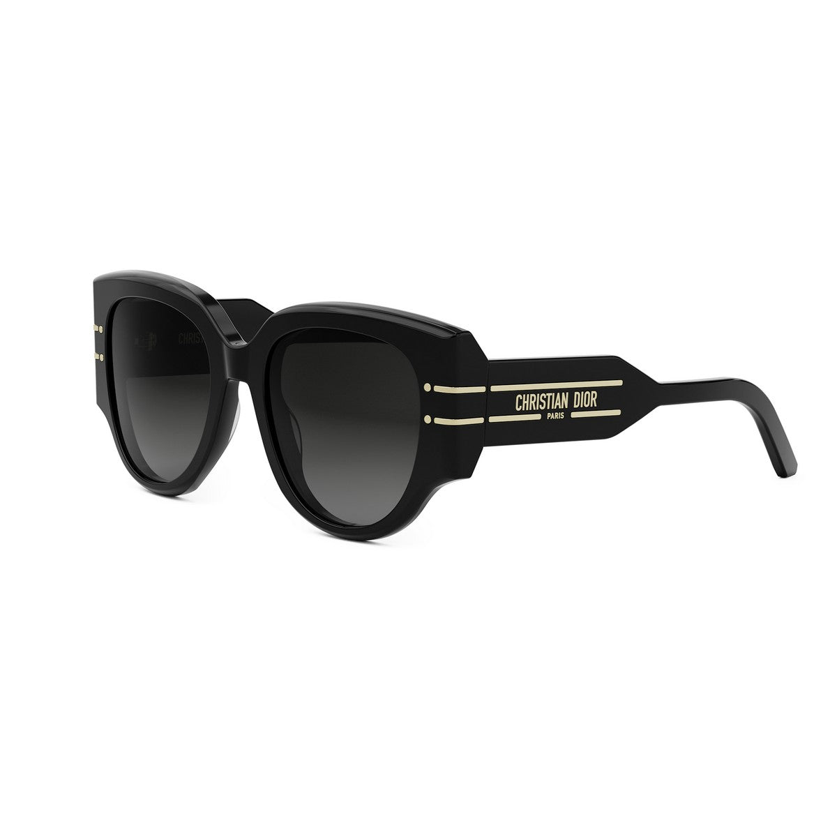 Dior Signature R2I