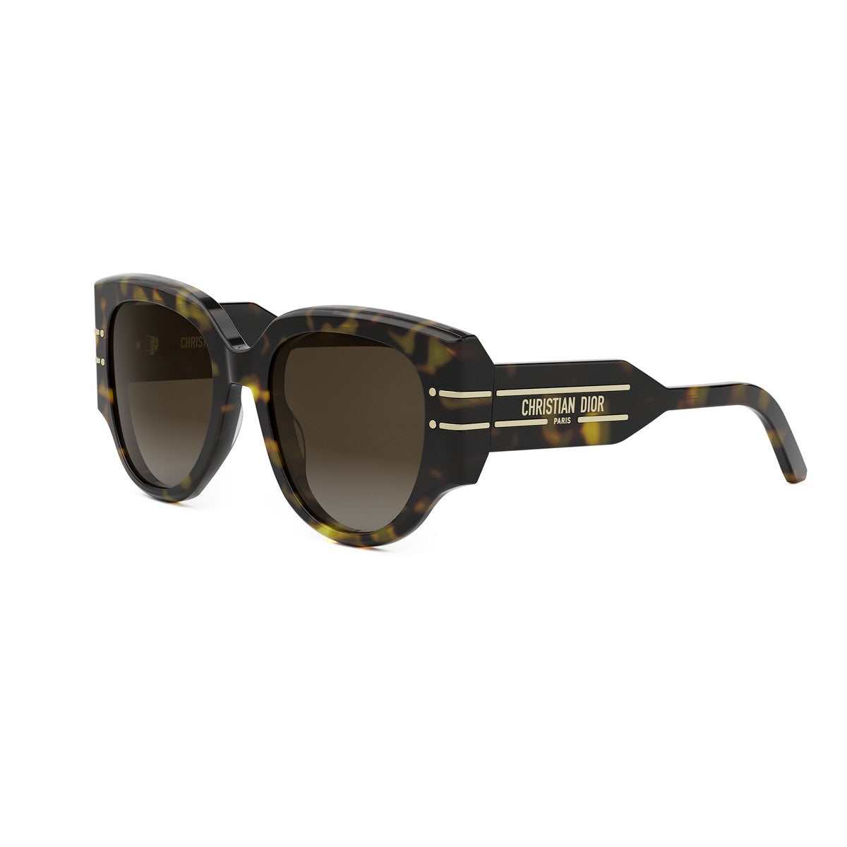 Dior Signature R2I