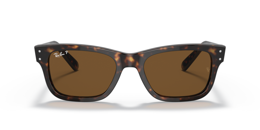 Ray Ban 2283 Mr Burbank