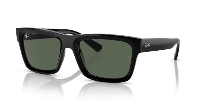 Ray Ban 4396 Warren