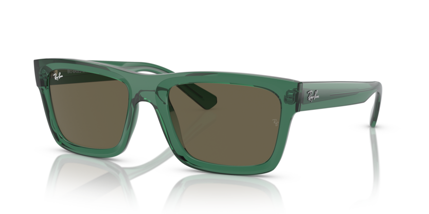 Ray Ban 4396 Warren