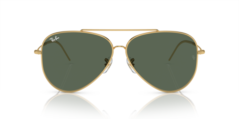 Ray Ban 0101S Aviator Reverse