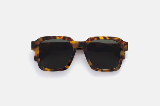 RSF Vasto Spotted Havana